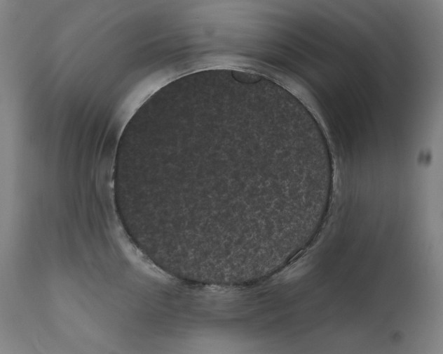 X0000111010954200907101312