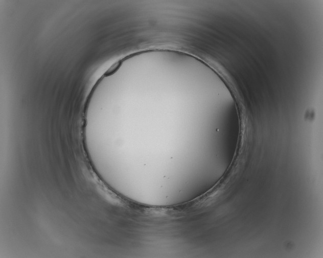 X0000111010956200907101312