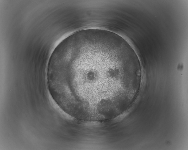 X0000111010957200907101312