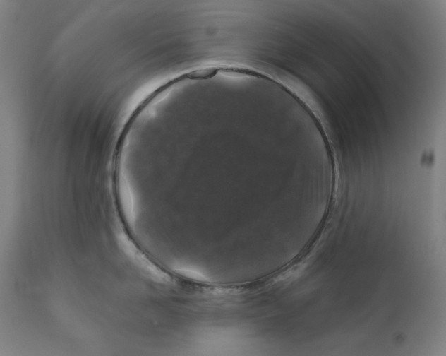 X0000111010958200907101312