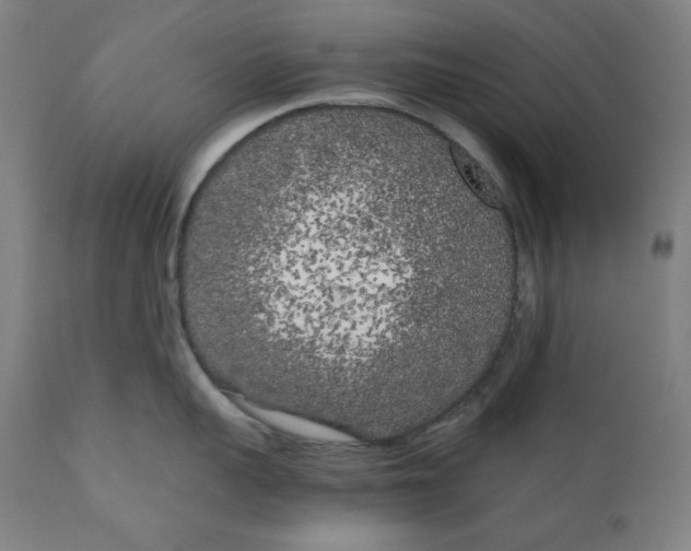 X0000111010959200907101312