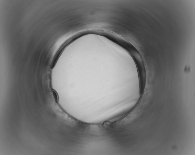 X0000111010960200907101312
