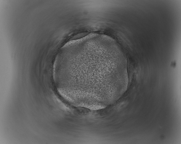 X0000111010961200907101312