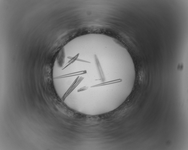 X0000111010964200907101312