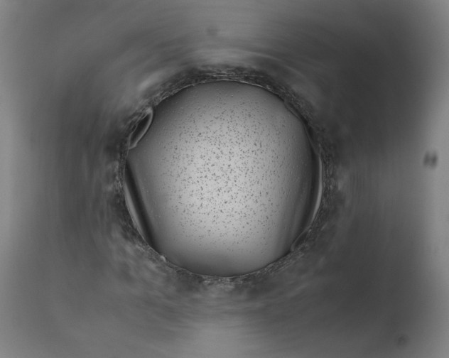 X0000111010965200907101311