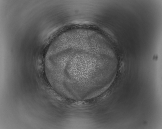 X0000111010966200907101311