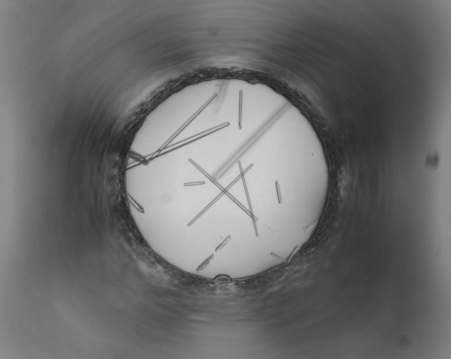 X0000111010968200907101311