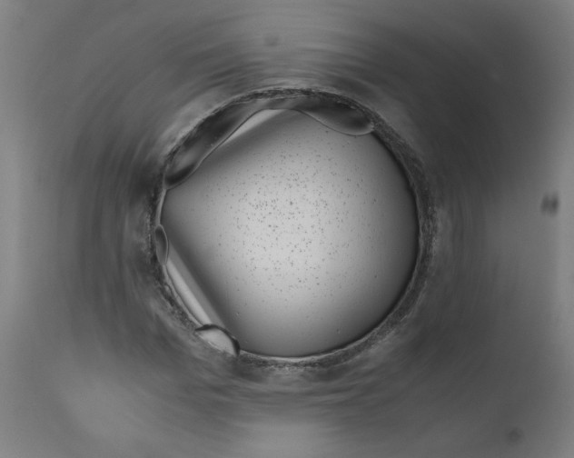 X0000111010969200907101311