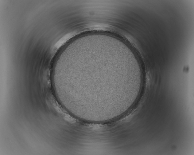 X0000111010970200907101311