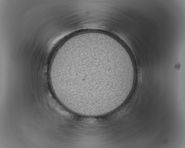 X0000111010971200907101311