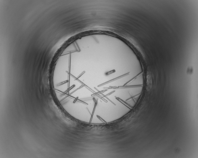 X0000111010972200907101311