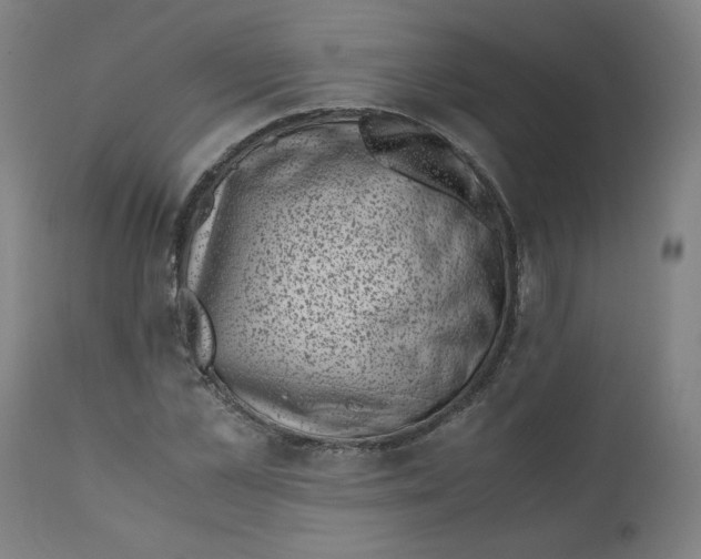 X0000111010973200907101311