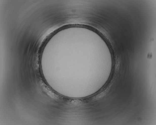 X0000111010974200907101311