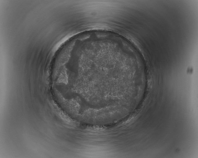 X0000111010975200907101311