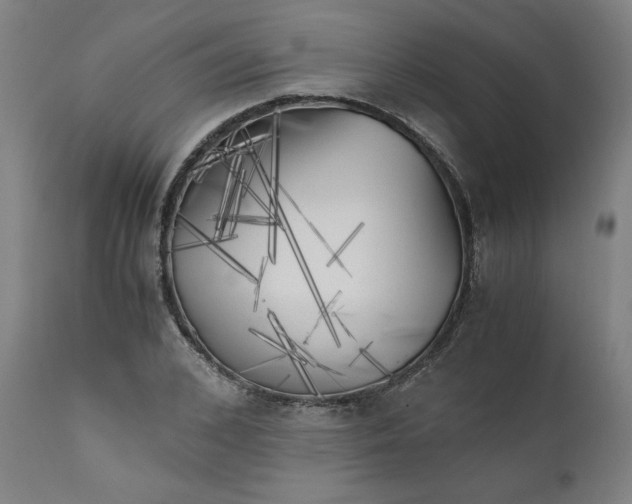 X0000111010976200907101311