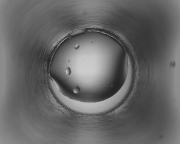 X0000111010977200907101311