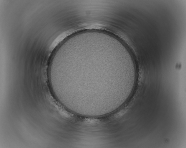 X0000111010978200907101311