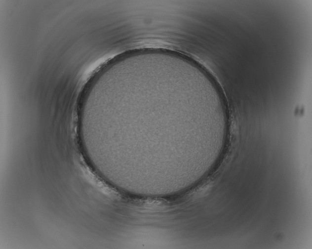 X0000111010979200907101311