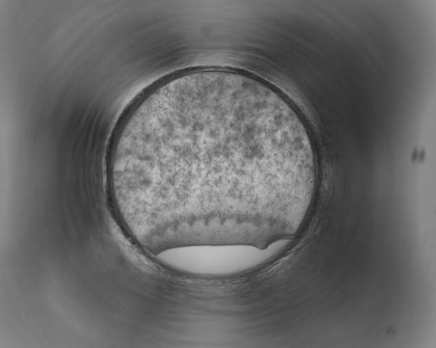 X0000111010980200907101311