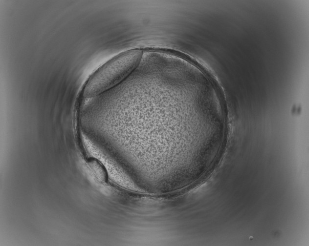 X0000111010981200907101311