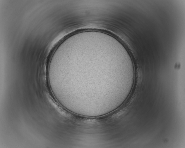 X0000111010982200907101311