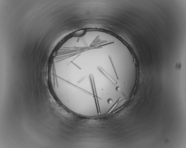 X0000111010984200907101311