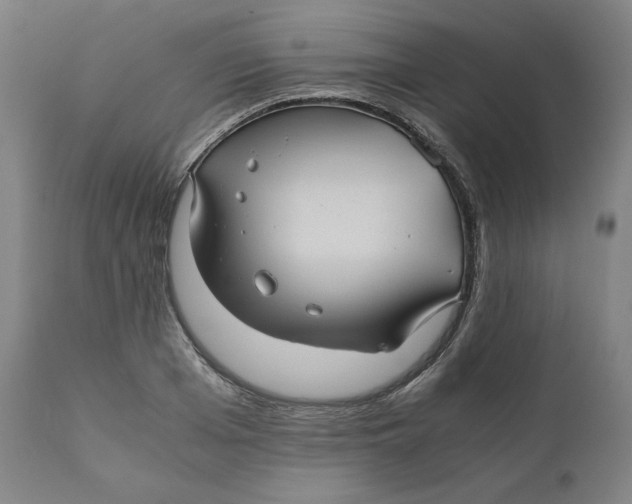 X0000111010985200907101311