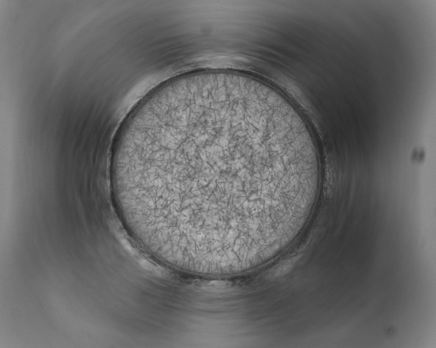 X0000111010986200907101311