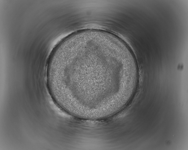 X0000111010987200907101311