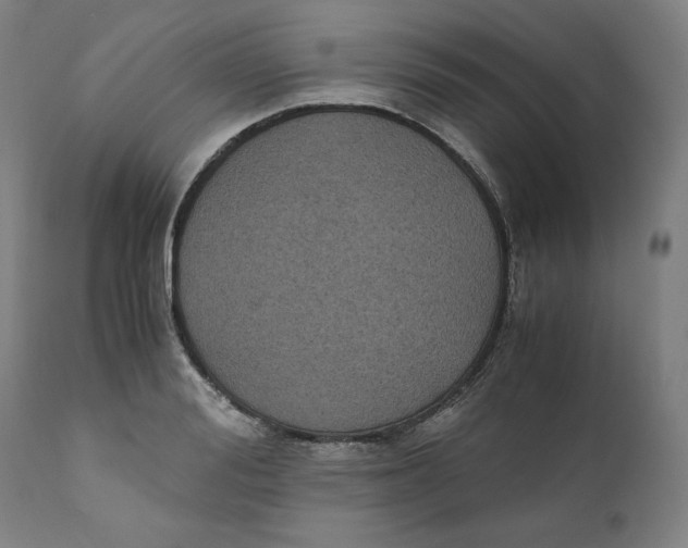 X0000111010988200907101311