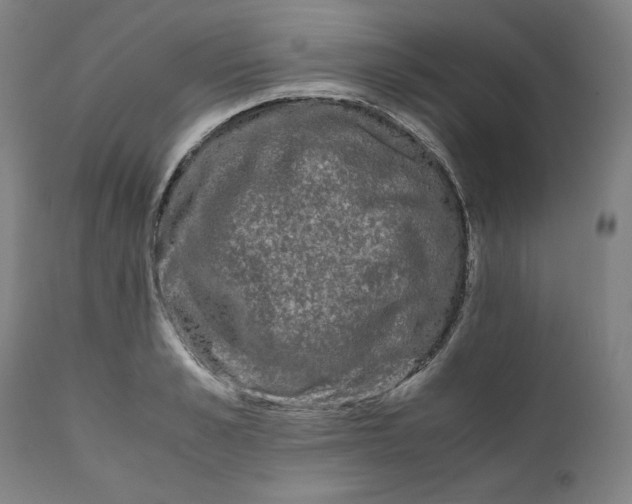 X0000111010989200907101311