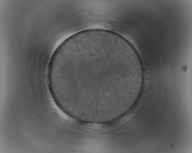 X0000111010991200907101311