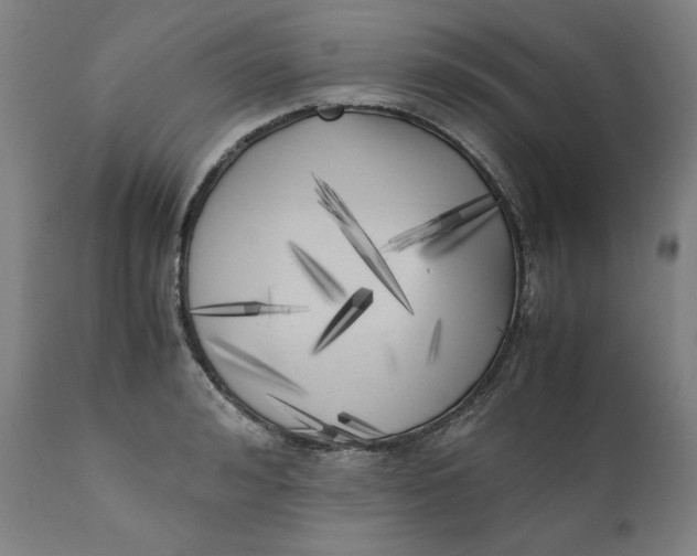 X0000111010992200907101311