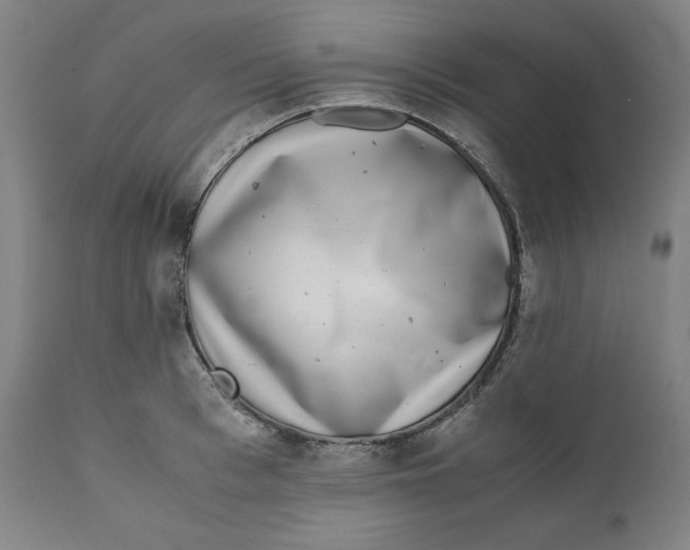 X0000111010993200907101311
