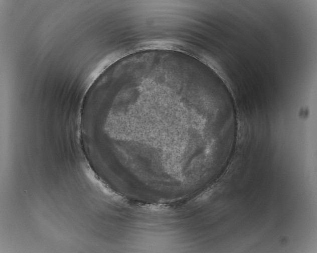X0000111010994200907101311