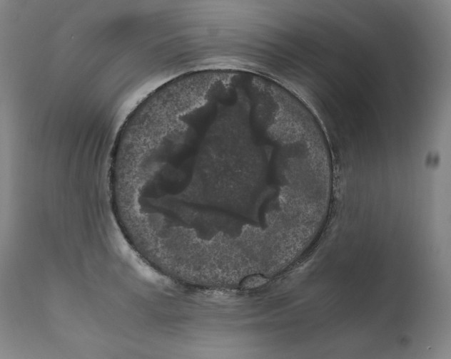 X0000111010995200907101311