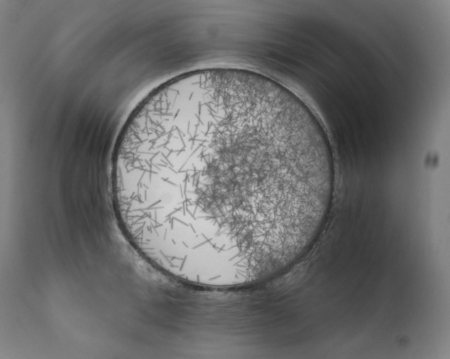 X0000111010996200907101311