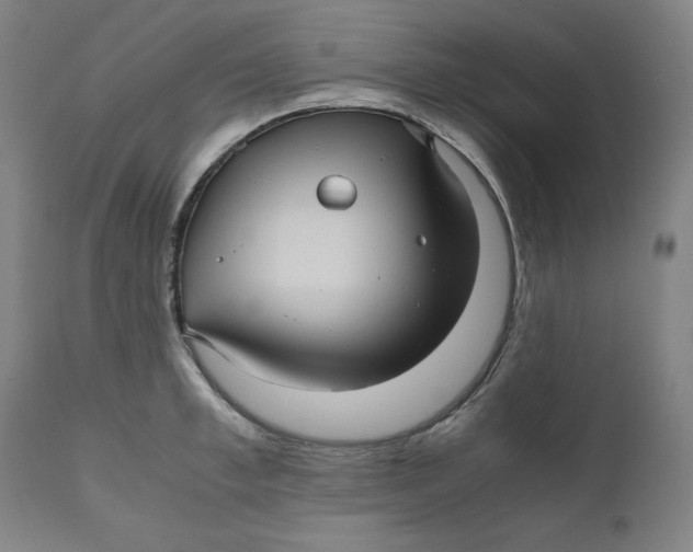 X0000111010997200907101311