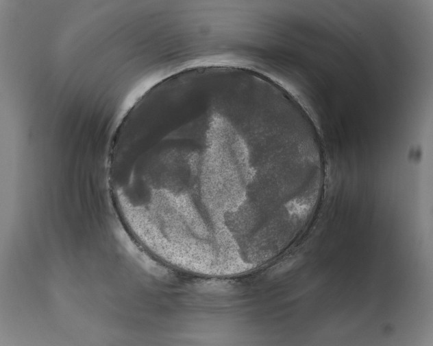 X0000111010998200907101311