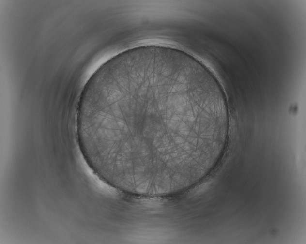 X0000111010999200907101311