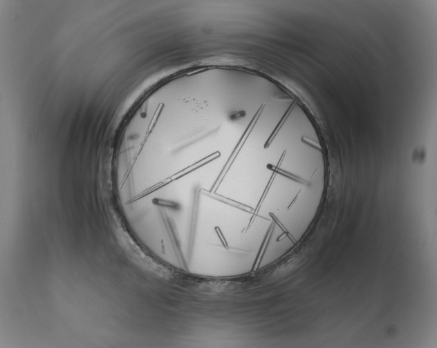 X0000111011000200907101311