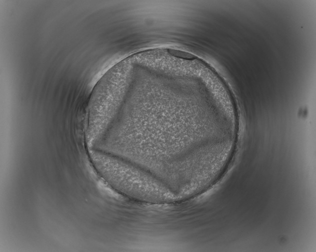 X0000111011001200907101311
