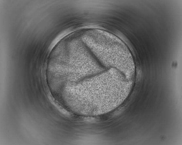 X0000111011002200907101311