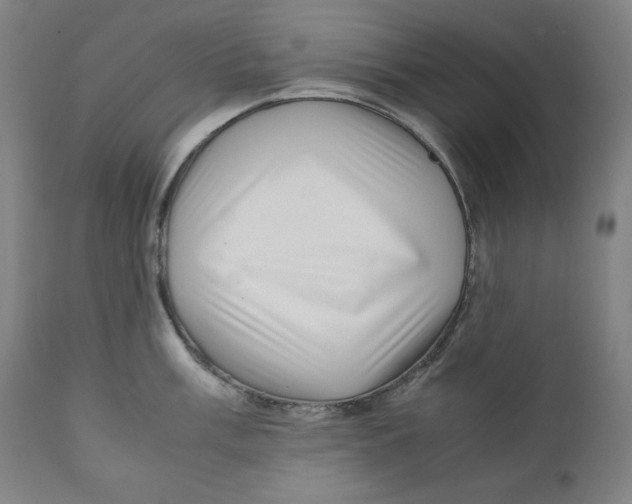 X0000111011003200907101311