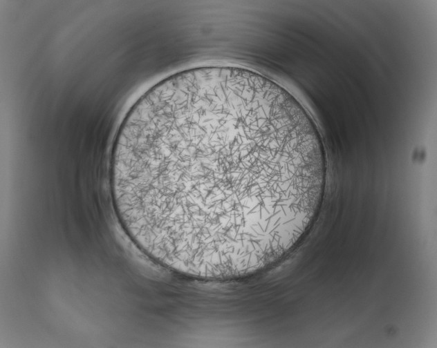 X0000111011004200907101311