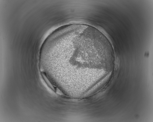 X0000111011005200907101311