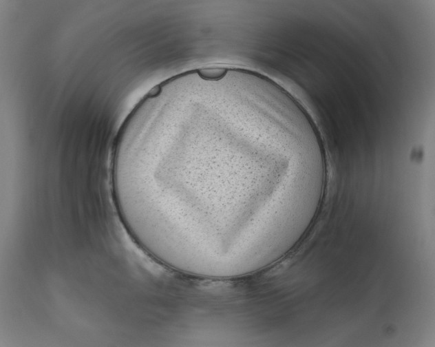 X0000111011006200907101311