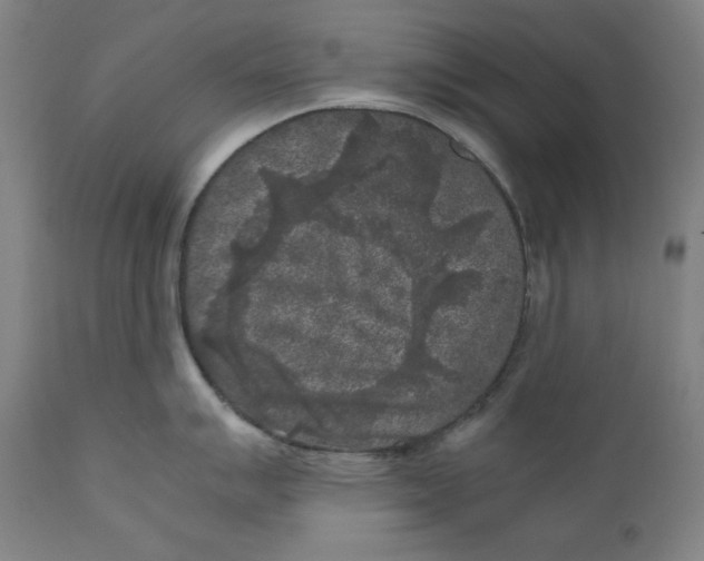 X0000111011007200907101311