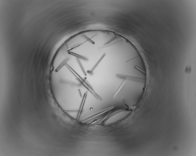 X0000111011008200907101311