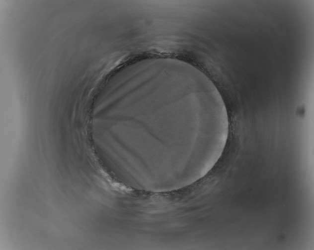 X0000111011009200907101310